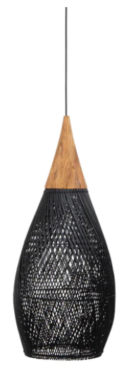 HORN PENDANT