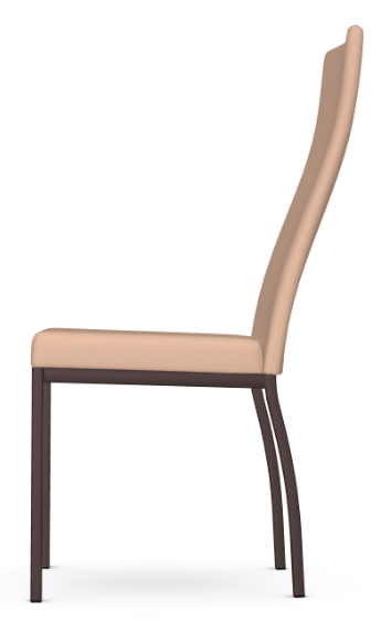 CURVE DINING CHAIR